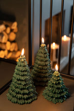 Pine Tree Candles