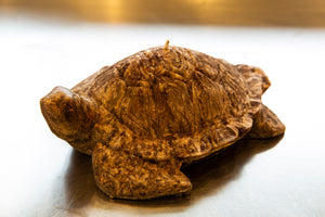 
            
                Galeriye resim yükleyin Kaplumbağa Mum
            
        