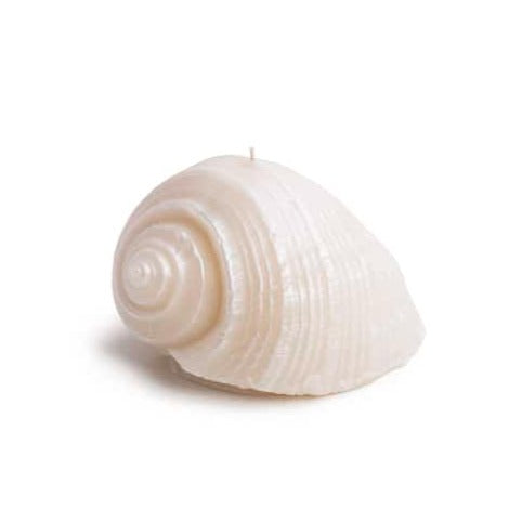 
            
                Load image into Gallery viewer, Seashell Candle - Spiral
            
        