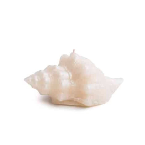 Seashell Candle - Small