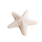 Starfish Candle