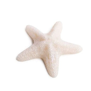 
            
                Load image into Gallery viewer, Starfish Candle
            
        