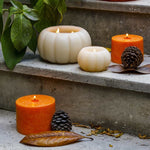 Scented Orange Botanical Candle