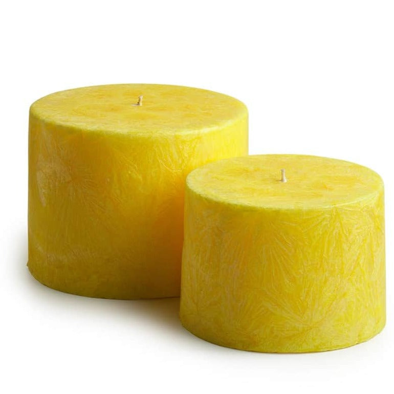 
            
                Load image into Gallery viewer, Scented Yellow Botanical Candle
            
        